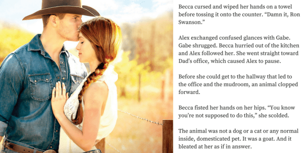 EE53333C-423C-4EC8-B3AA-BB30E0963C46