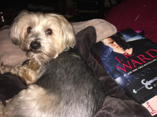 F875FEEA-1395-4259-ABA1-70D78F663F3B